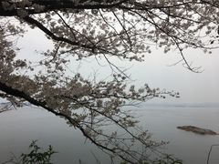 -千岛湖石林
