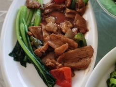 -上海明天广场JW万豪酒店