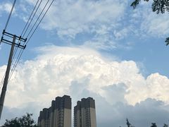 -后卫寨猫耳朵(后卫寨店)