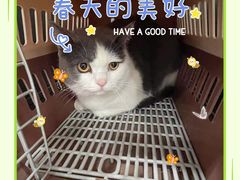 -宠颐生动物医院·小陆分院