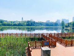 -东湖听涛景区