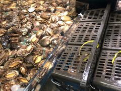 水产区-盒马鲜生(宝地店)
