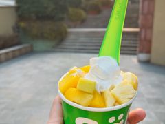 -Salud撒露欧洲冻酸奶(蓝色港湾店)