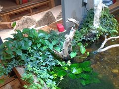 -邈墨茶馆(大兜路1号店)
