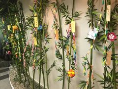 -樱花国际日语(徐家汇中心)