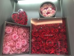 -ROSEONLY诺誓(广州K11店)