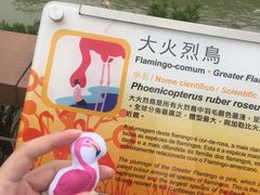-石排湾郊野公园