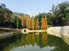 -广州市帽峰山景区