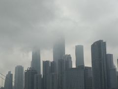 -珠江琶醍