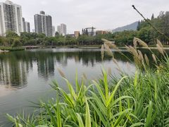 -四海公园(南山区)