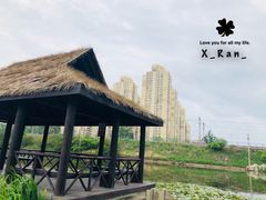 -前关湿地公园