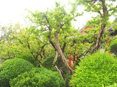 -华清宫景区