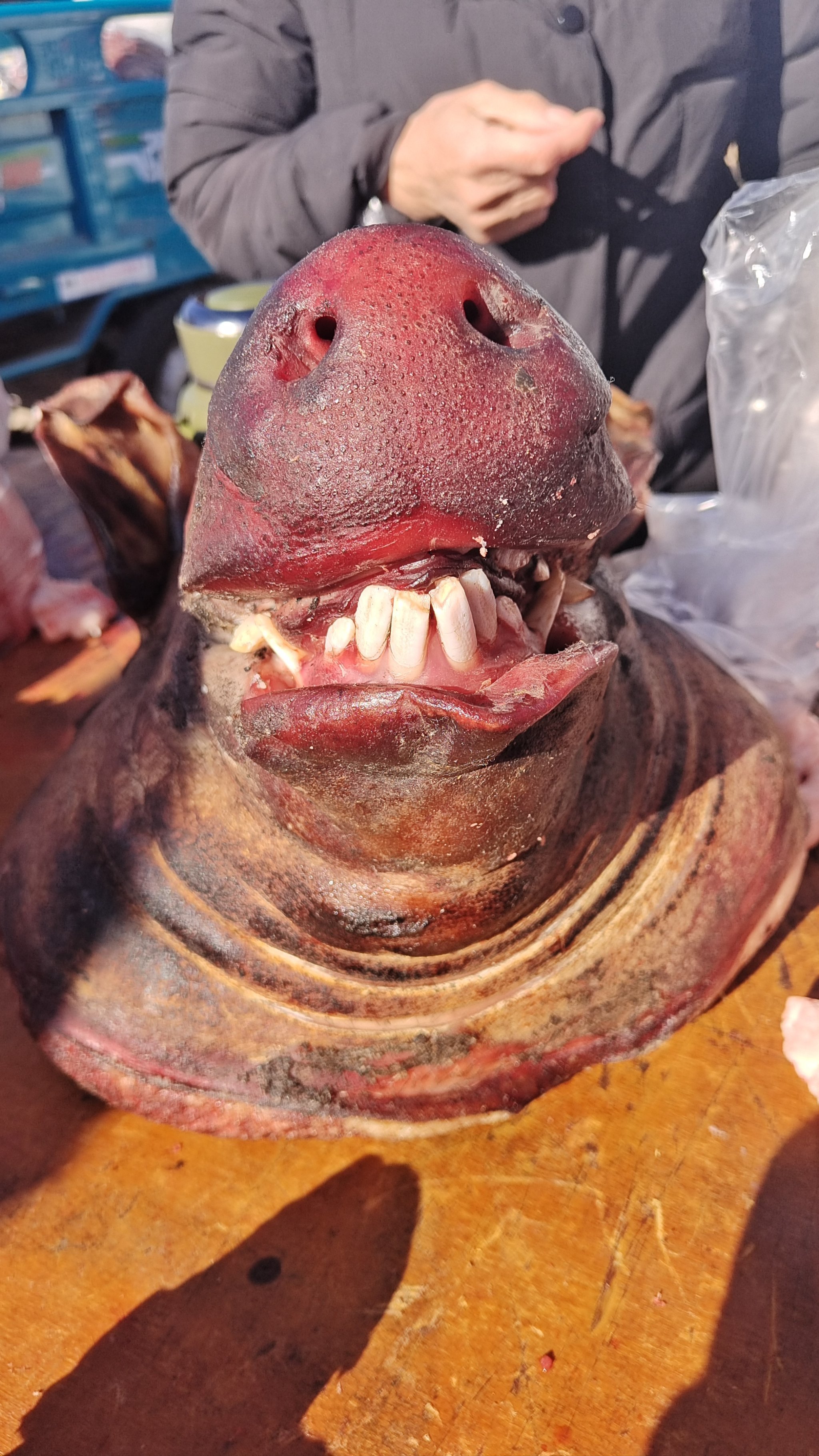 哪里寻找烟火气～庙城大集