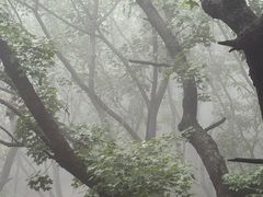-妙峰山风景名胜区