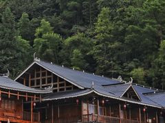 -紫鹊界梯田景区