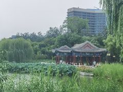 -西海子公园
