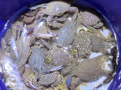 -青岛银沙滩温德姆至尊酒店