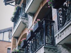 -华山263老字号品牌馆