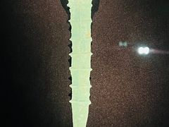 -金沙遗址博物馆