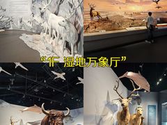 -中国湿地博物馆
