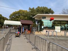 -上海滨江森林公园