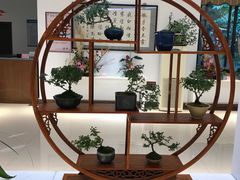 -汇龙潭