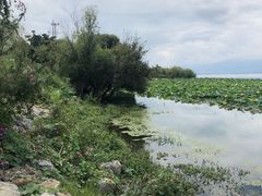 -南诏风情岛