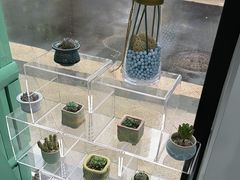 -卫雅仕口腔