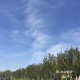 文化中心是隔一段时间就会来的地方