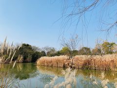 -梁鸿国家湿地公园