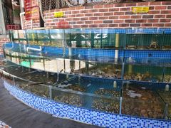 -蟹谢蒸鲜自助餐厅