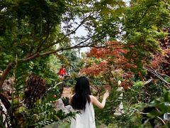 -上海鲜花港