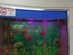 -雅悦齿科(顾村公园店)