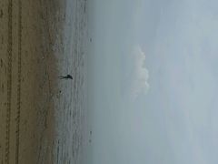 android_upload_pic-白城沙滩