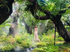 -Chom Cafe and Restaurant