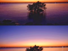 -宝安西湾红树林湿地公园