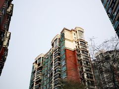 -徐虹华庭