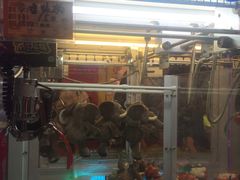 -PAWTOY爪e玩偶店(天兴罗斯福店)