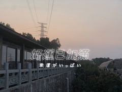 -仙岳公园