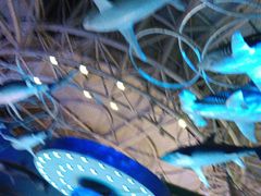 -烟台海昌鲸鲨海洋公园