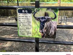 -贵州森林野生动物园
