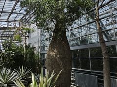 -南山植物园