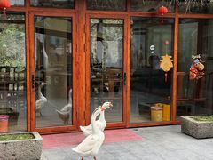 -小小饭店·休闲农庄·安吉松树林里的农家菜