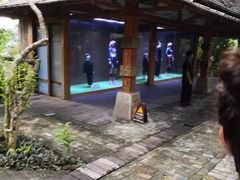 -海南槟榔谷黎苗文化旅游区