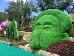 -苏州乐园森林水世界