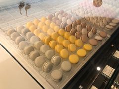 -BLACKSWAN黑天鹅(环球店)