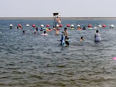 -碧海金沙