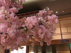 -汤泉良子(金源店)