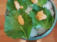 鲜活海胆-王鼎精致料理铁板烧(世博源店)