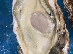 -山海经·海边人家 海鲜新青岛菜(扬州路店)